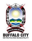 buffalo city